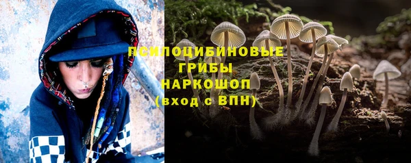 PSILOCYBIN Алексин